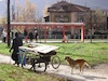 Cartoon: Balkan Kapital (small) by Zlatko Iv tagged balkan,szene,zentrum,zirkus,stadt,roma,arbeiten,freude,wunderkind,dienst,dieb