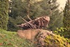 Cartoon: Heuschrecke! (small) by Zlatko Iv tagged kunst,natura,culture,kult,love,collector,angeln,danke,nasa,kosmos,astro