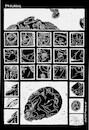 Cartoon: Prologue E (small) by Zlatko Iv tagged sea,kunstwerk,gold,natura,nude,hertz,collector,collection,selfie,facebook,humor,tourism,klimate,clima