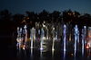 Cartoon: Schwimmen in der Nacht (small) by Zlatko Iv tagged großartig,gehirn,freun,kulture,egypt,kunst,gender,law,neu,schwimmen,nacht,kultur,strasse
