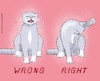Cartoon: Extended Hygiene Requirements (small) by Barthold tagged corona,virus,pandemic,hygiene,regulations,rules,sneezing,cat,dressage,cartoon,caricature,barthold