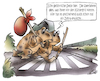 Krötenwanderung