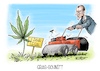 Gras-Schnitt